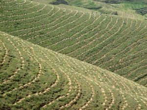 鄭家灣村[雲南省紅河州石屏縣異龍鎮下轄村]