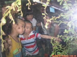 農耕休閒遊 農耕休閒遊