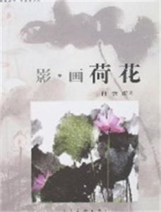 影·畫荷花 影·畫荷花