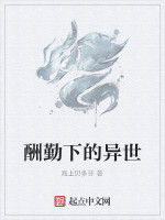 酬勤下的異世 酬勤下的異世