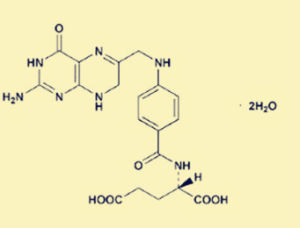 氧化還原酶 氧化還原酶