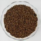 補益乾漆丸 補益乾漆丸