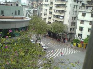 西湖路大院小區外景圖