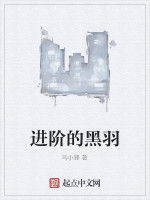 進階的黑羽 進階的黑羽