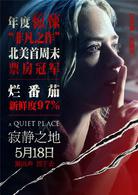 寂靜之地[2018年約翰·卡拉辛斯基執導恐怖電影]