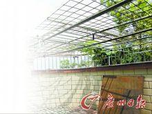 家人對小鍾進行強制戒癮的場所