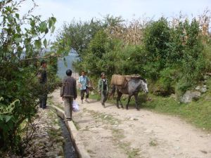 下苗丹村 下苗丹村
