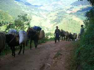 荒田自然村[雲南臨滄鎮康縣鳳尾鎮大柏樹村委荒田自然村]