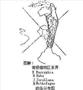 南極植物區系界