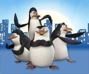 馬達加斯加企鵝 馬達加斯加企鵝