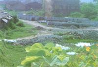 沙寮村遺址 沙寮村遺址