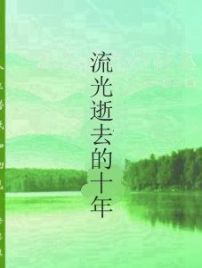 流光逝去的十年 流光逝去的十年
