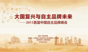 2015年首屆中國自主品牌峰會