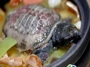 大棗鱉甲湯 大棗鱉甲湯