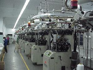 海寧市愛黛針織有限公司