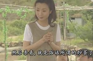 《雙面伊人》劇照