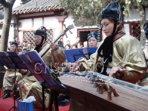 張仲景祭祀 張仲景祭祀