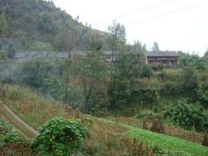 老梨樹村 老梨樹村