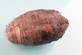 荔浦香芋 荔浦香芋