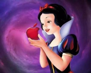 王子和灰姑娘的童話 王子和灰姑娘的童話