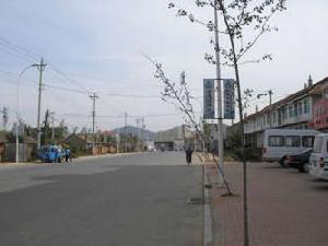 泰鋒儷景城 泰鋒儷景城