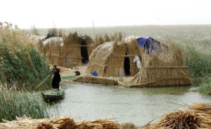 行為沼澤 行為沼澤