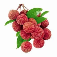 元紅荔枝 元紅荔枝