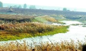 連珠山林場 連珠山林場