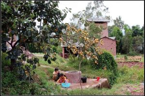 章崗陳家莊村 章崗陳家莊村