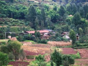 閘塘竹園村 閘塘竹園村
