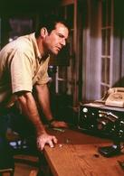 黑洞頻率[美國2000年格里高利·霍布里特執導電影]