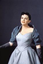 朱迪&middot;嘉蘭中年