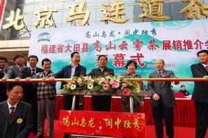 高山烏龍，閩中獨秀