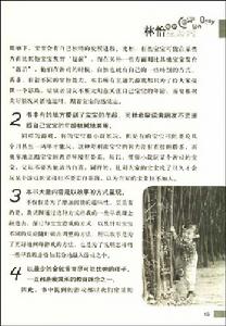 《林怡教你玩遊戲》