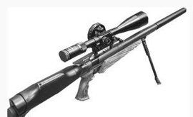 美國禿鷹氣步槍 美國禿鷹氣步槍