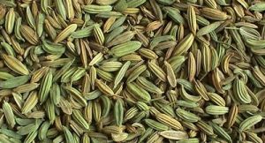 溫中鎮痛丸 溫中鎮痛丸