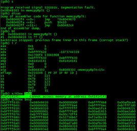 超級病毒[超級病毒是指破壞並盜取資料的電腦程式]
