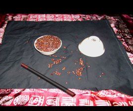 仙人摘豆 仙人摘豆