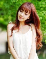 天使的滿天星 天使的滿天星