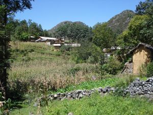 趙灣自然村 趙灣自然村