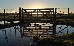 布宜諾斯艾利斯省