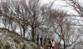 大盛鎮[重慶市渝北區下轄鎮]