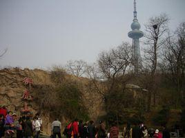青島動物園獅虎山