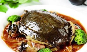 燉甲魚金針菜 燉甲魚金針菜