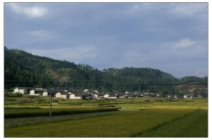 新中寨自然村 新中寨自然村