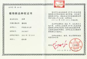 ‘熱舞’品種權證書