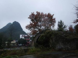 南邊山鄉 南邊山鄉