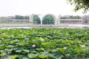 新荷花世界 新荷花世界