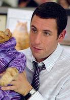 憤怒管理[2003年美國電影]