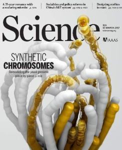 人工合成酵母基因組計畫 人工合成酵母基因組計畫